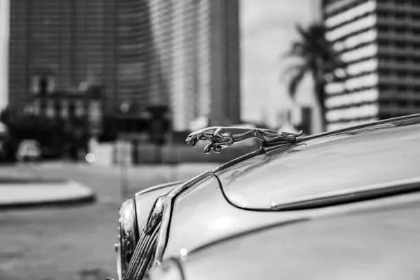 Kasyno Extra Aplikacja Android/iOS